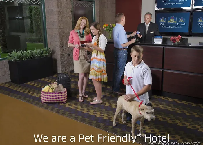 Wyndham Airport & Conference Center 3*